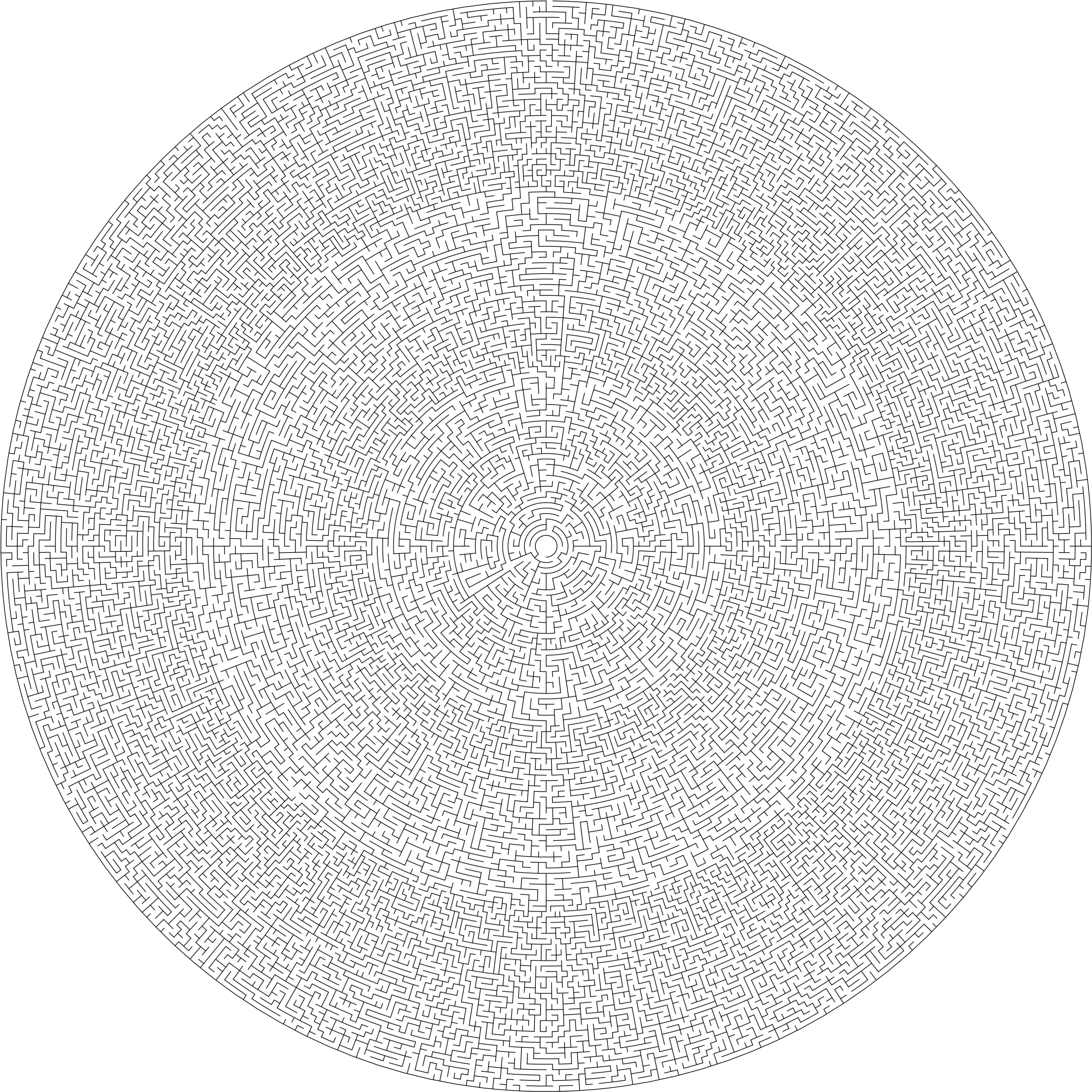 200 cells diameter theta maze.png