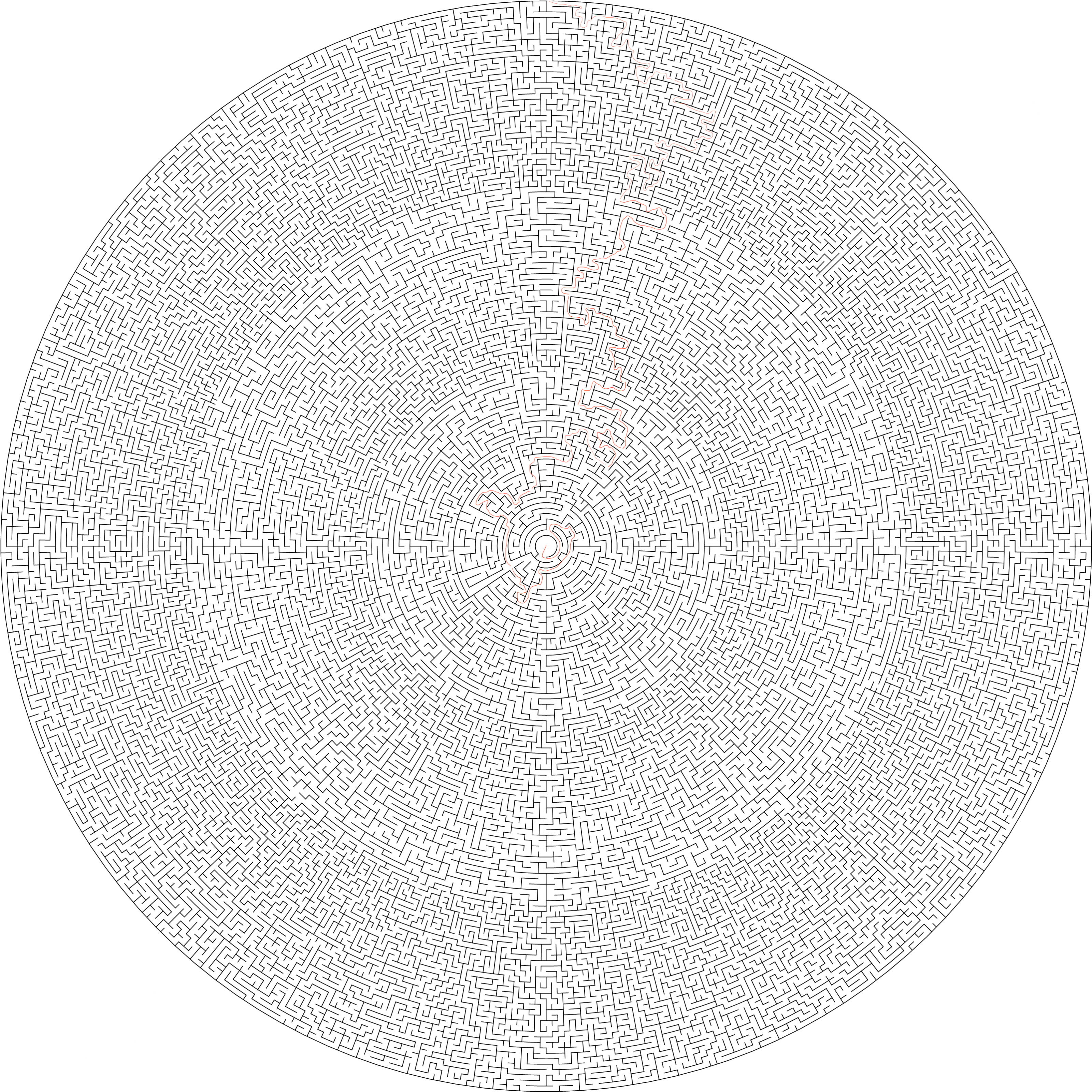 200 cells diameter theta maze.png