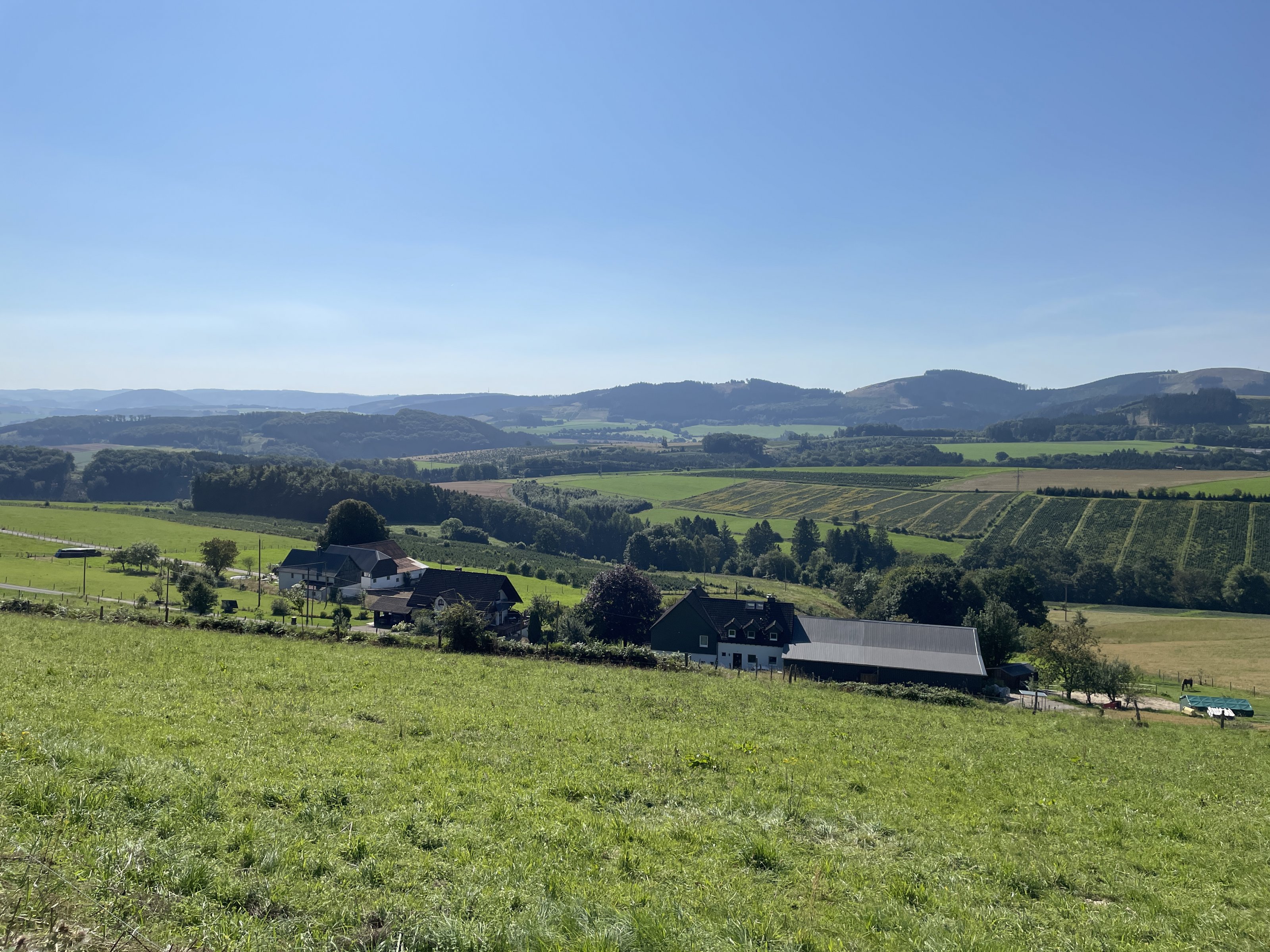 2024_08_06  Sauerland , Hohe Bracht 6.JPG