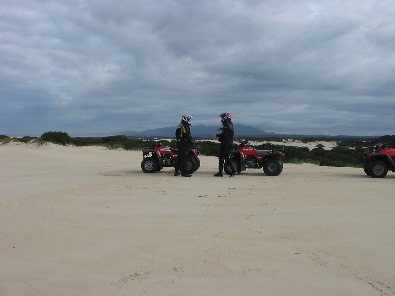 293_Henty Dunes.JPG