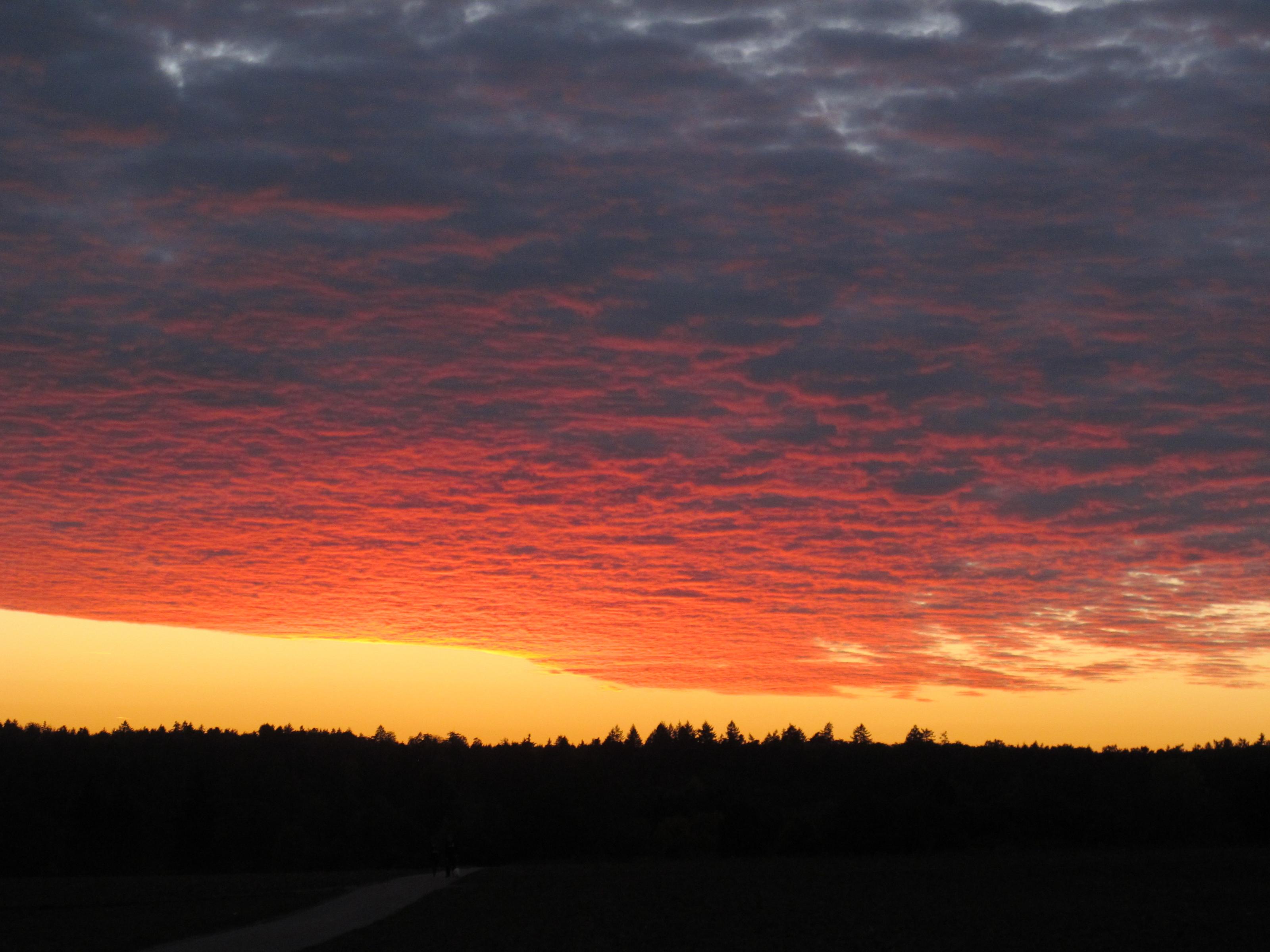 Abendsonnenbilder 005.jpg