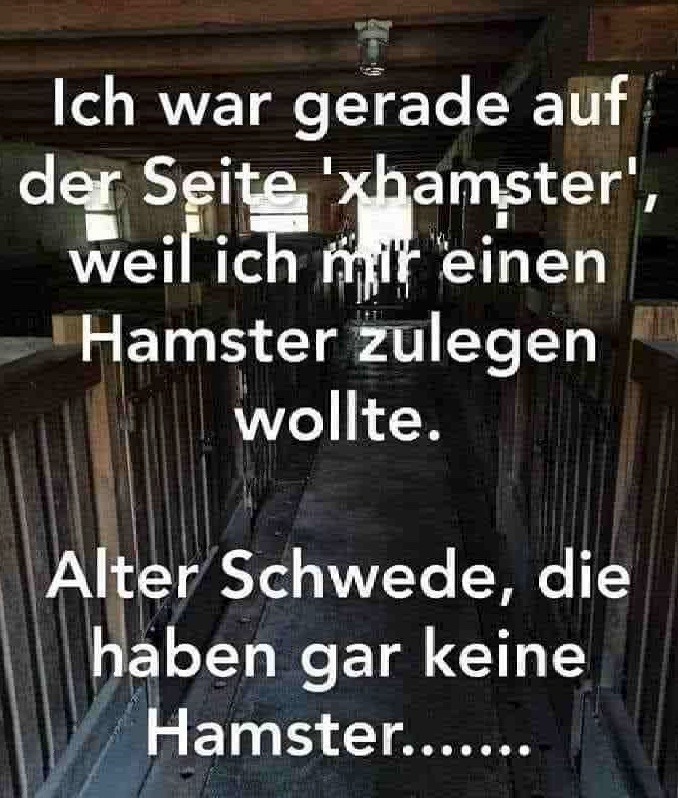 alter Schwede.jpg