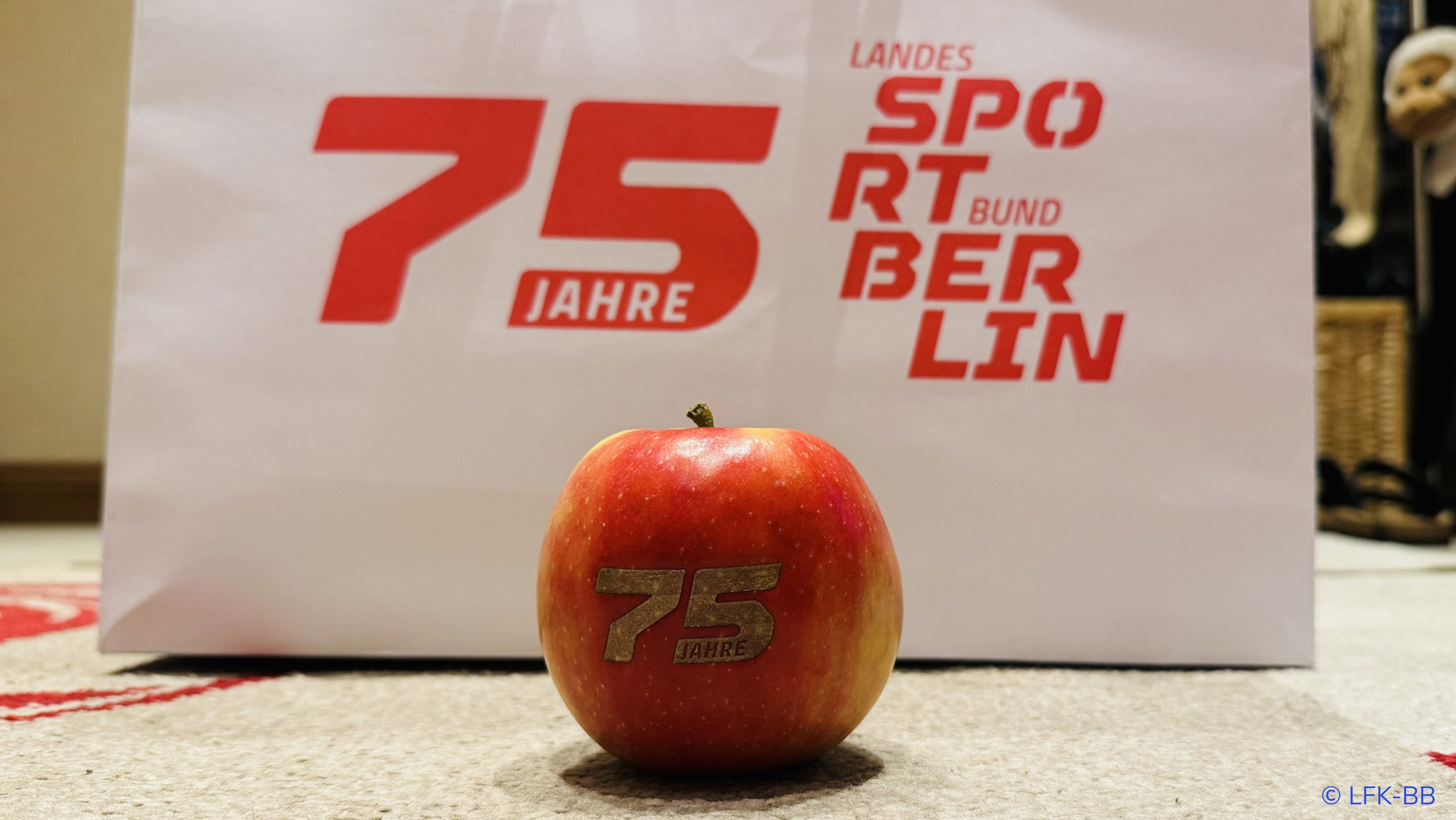 Bild10-LSB75.jpg