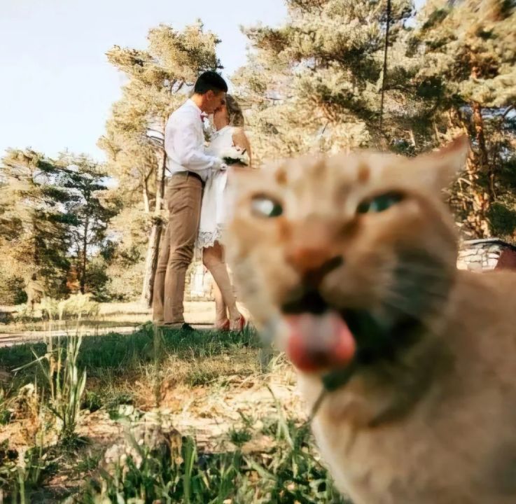 catto foto.jpg