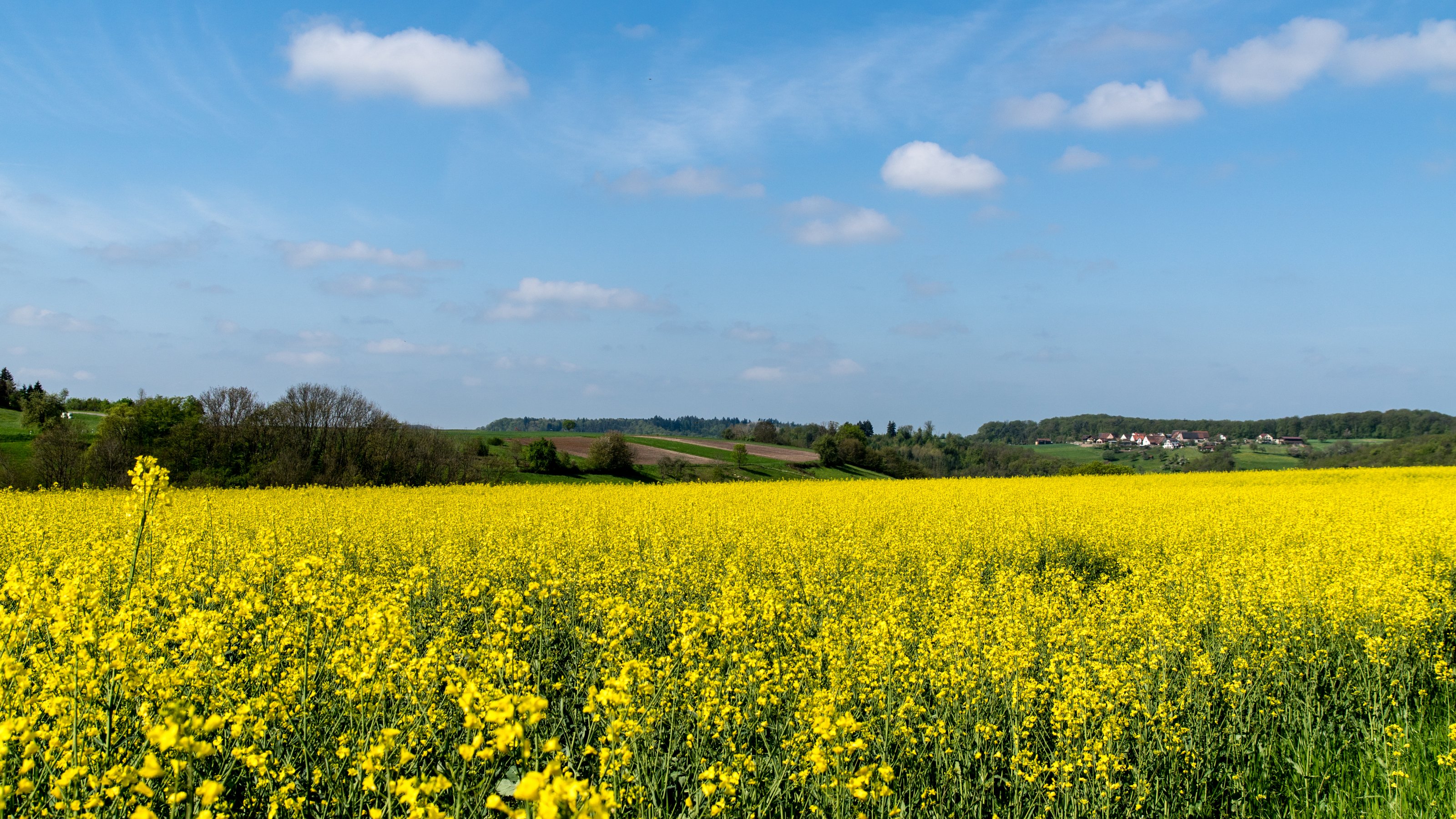 Frühling2023-2.jpg