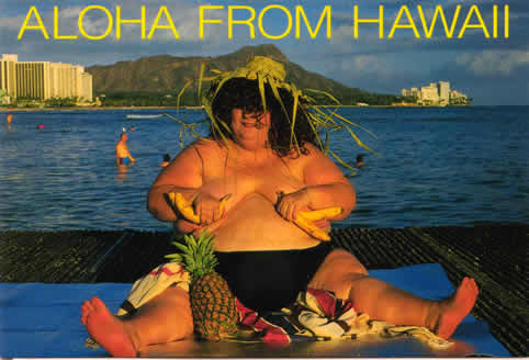 hawaii-werbung.jpg