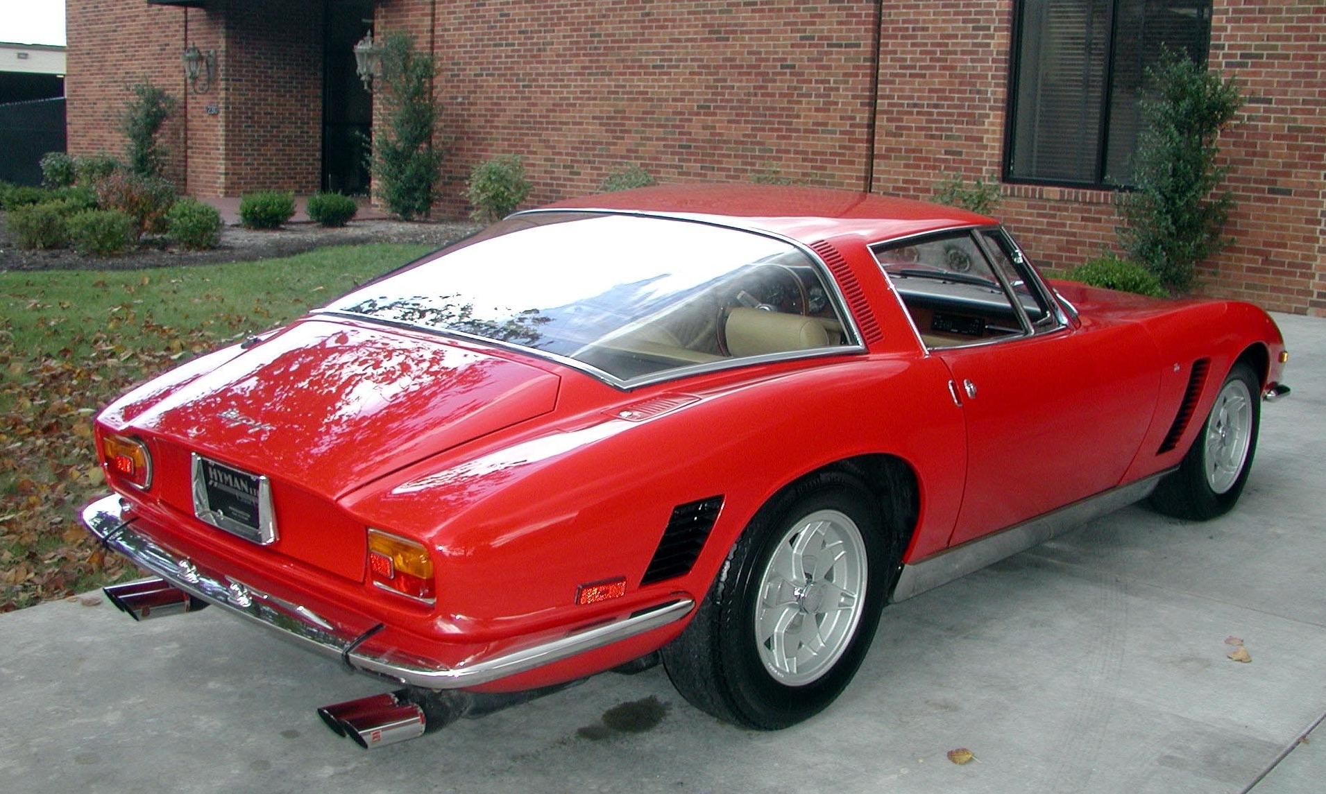 Iso_Grifo1.jpg