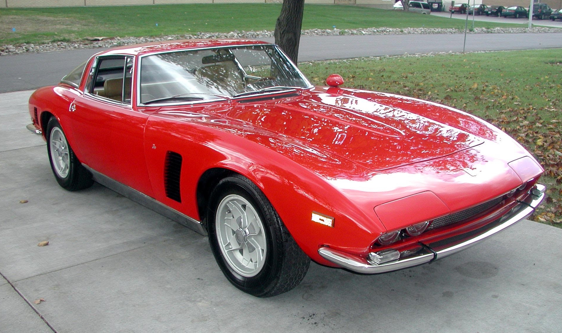 Iso_Grifo2.jpg