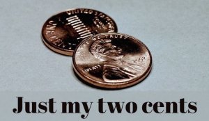 just-my-two-cents-100swjys[1].jpg