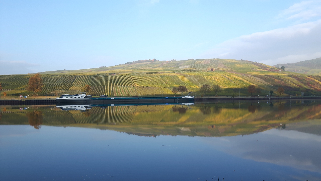 Mosel07.jpg