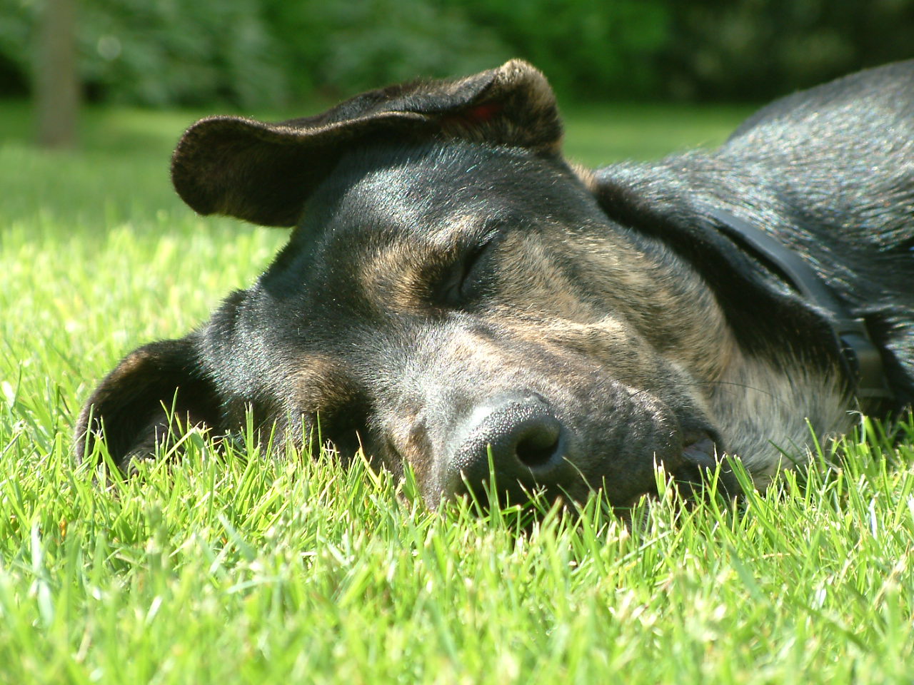 nach der Gartenarbeit.JPG