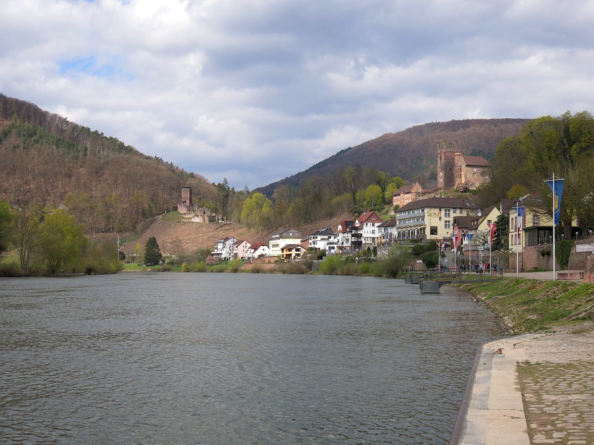 neckar.JPG