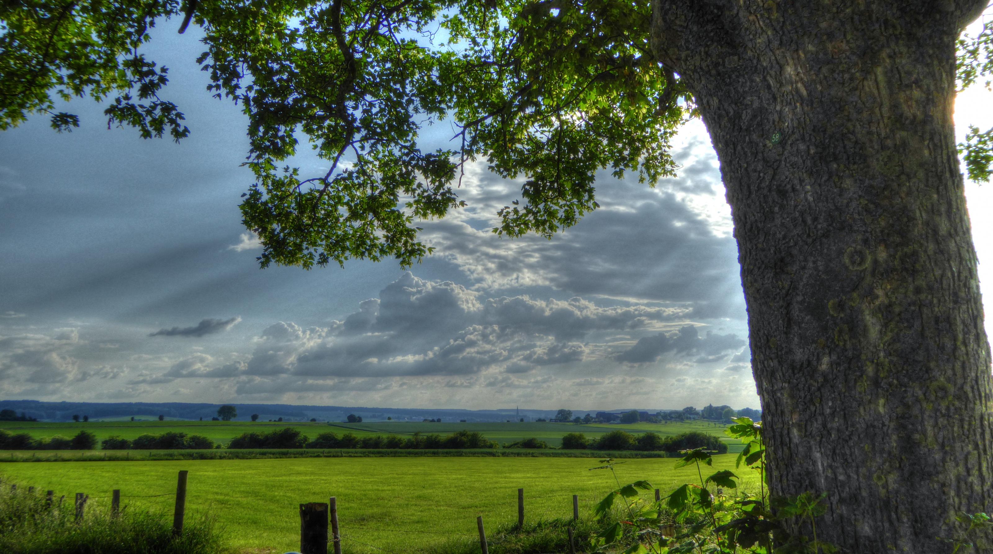 P1100347_8_9_tonemapped.jpg