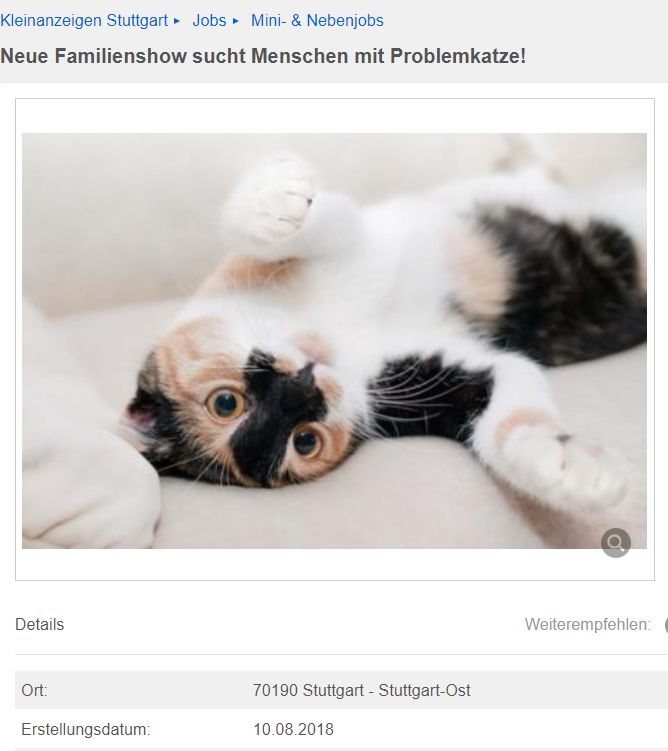 problemkatze.jpg