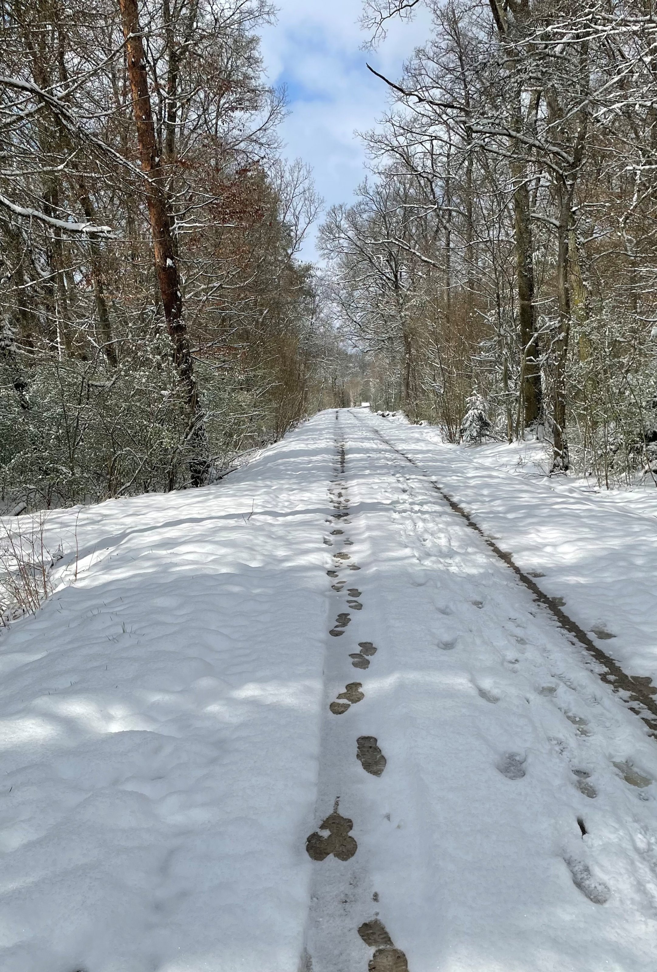 Schnee im April.jpg