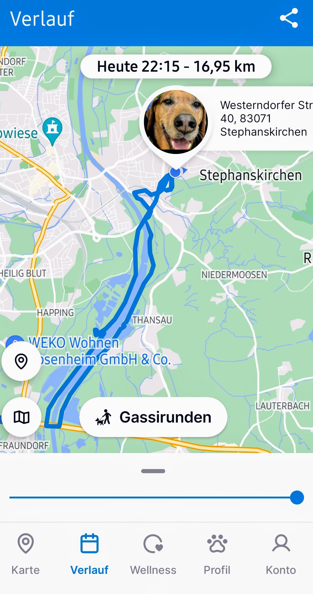 Screenshot_20231223_225013_Tractive GPS.jpg