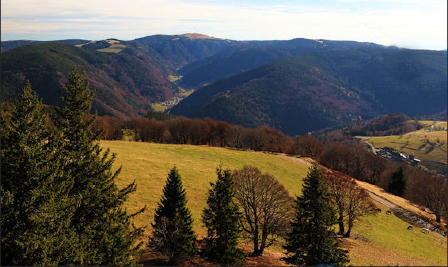 Skulpturenweg Schauinsland Blickrichtung zum Feldberg.jpg