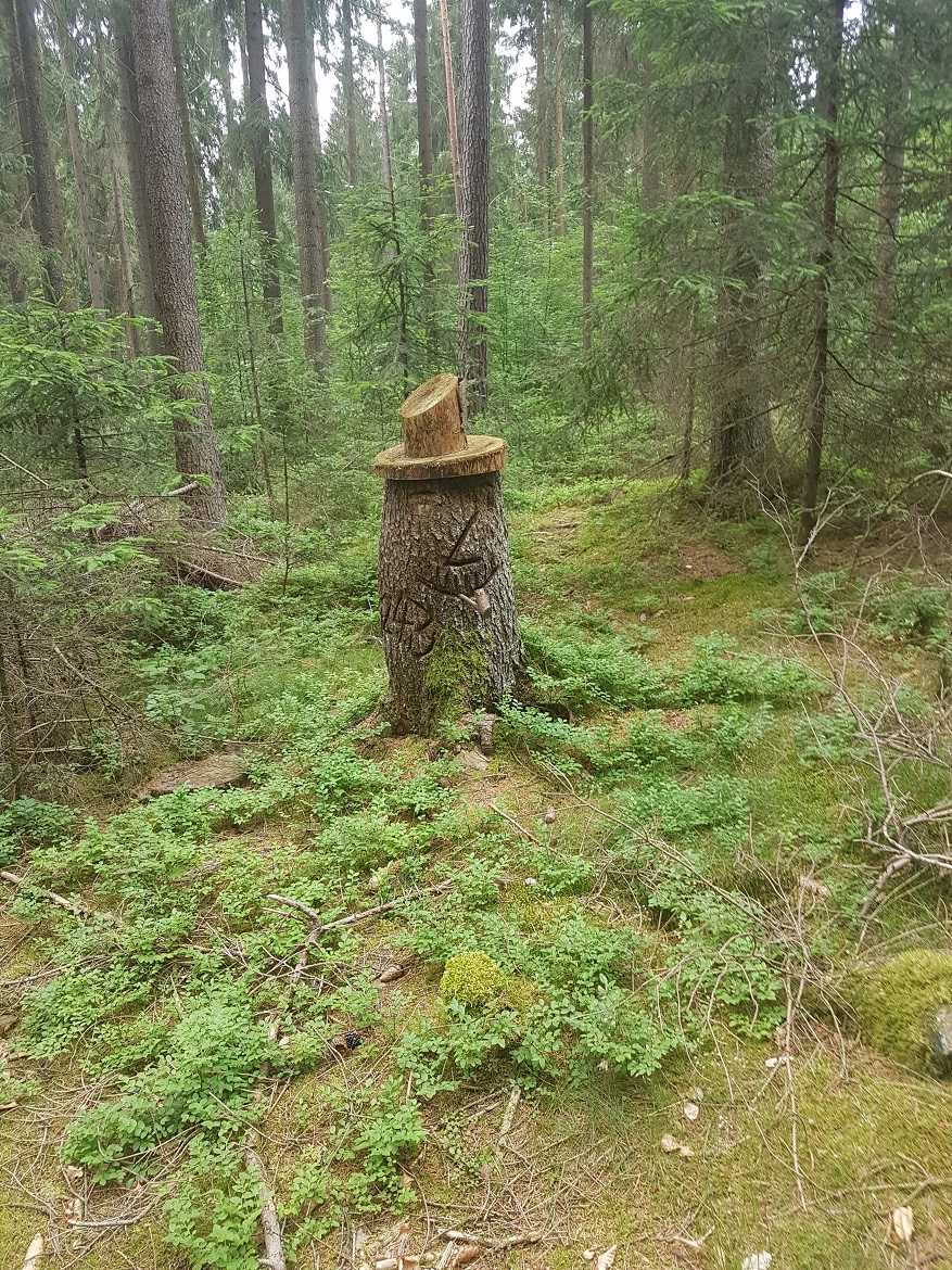 Wald2.jpg