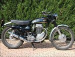 50 AJS 16 MSC 350 Scrambler.jpg