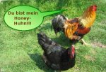 Huhn- Honeyhuhn.jpg