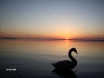 Chiemsee Sunset.jpg