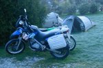 MopedForum-3.jpg