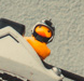 Ente.png