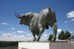 800px-Tordesullas_Toro_JMM.jpg