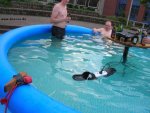 Epic.strom_.pool_.fail_.jpg