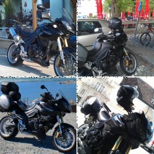 Triumph Tiger / 2008