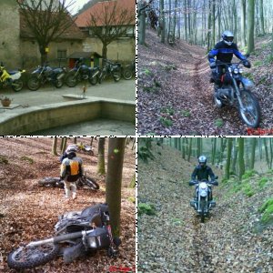 oster softenduro mit angie, schneckele, tiger, mike