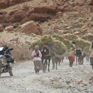 Dades Schlucht, Marokko