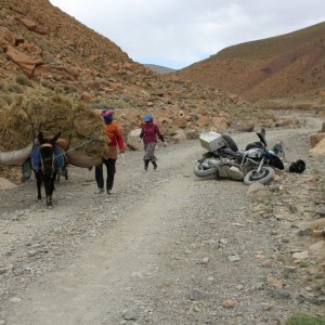 Dades-Schlucht, Marokko
Beinbruch nach Eselcrash