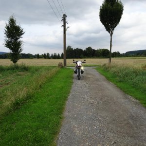 Volle Pulle!  - Positionslicht vom TFL, orginal Abblend + Fernlicht + Xenon Fernlicht links + Hallogen Nebelscheinwerfer rechts. Beide Hella micro.