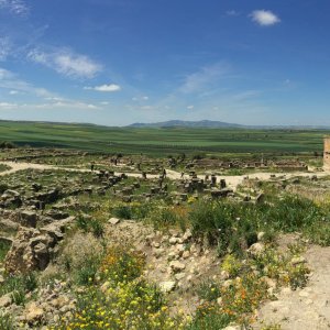 Volubilis