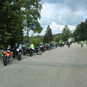 CIMG2918 Treffen Bay.Wald 2018