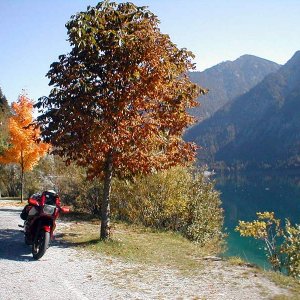 Herbststimmung_am_Plansee