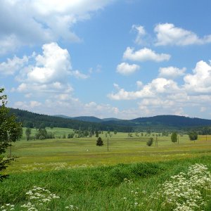 Bayerischer Wald - 2007