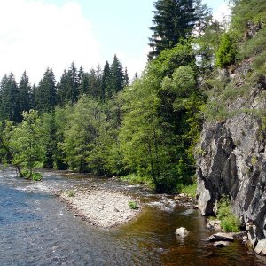 Bayerischer Wald - 2007