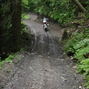 ziemlich steile und feuchte (nach unwetter) strasse im friuli