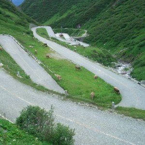 Gotthard-Pass