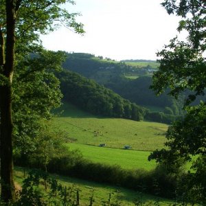 Blick in Richtung Dedenborn