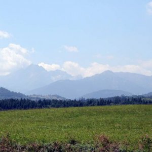 Blick auf die Hohe Zatra