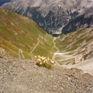 Passo Stelvio mal anders ...