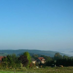 Blick aus dem Fenster