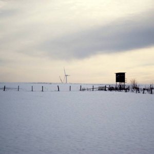 Eifel im Winter