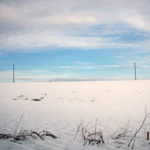 Eifel im Winter