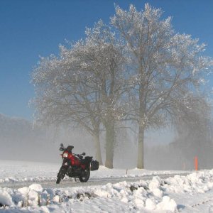 Januarausfahrt in der Schweiz