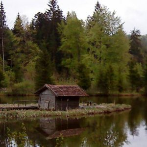 neulich im Wald.....