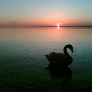 abends_am_Chiemsee